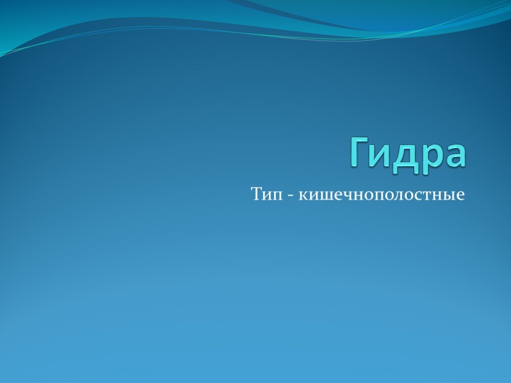 Вывести деньги с кракена