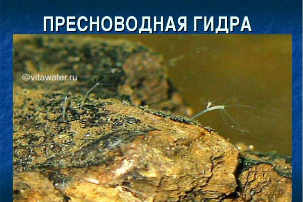 Сайт кракен гидра
