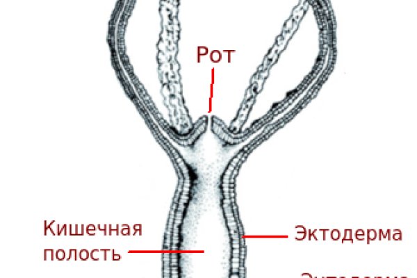 Кракен онион ссылки