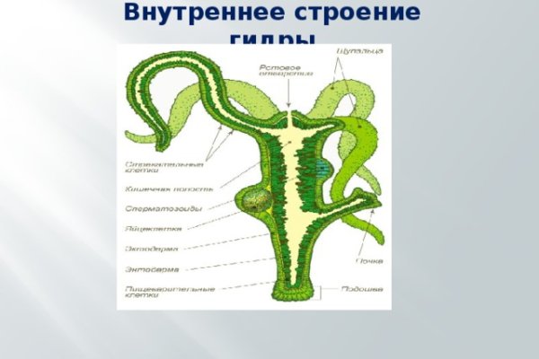 Solaris даркнет
