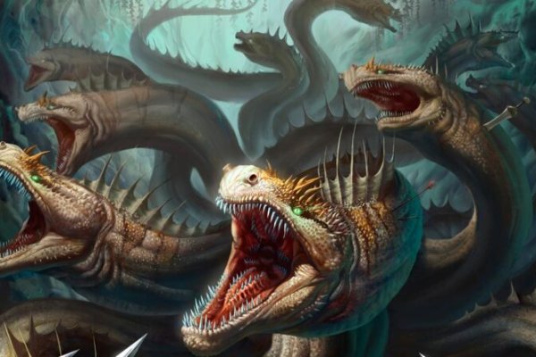 Kraken 12at