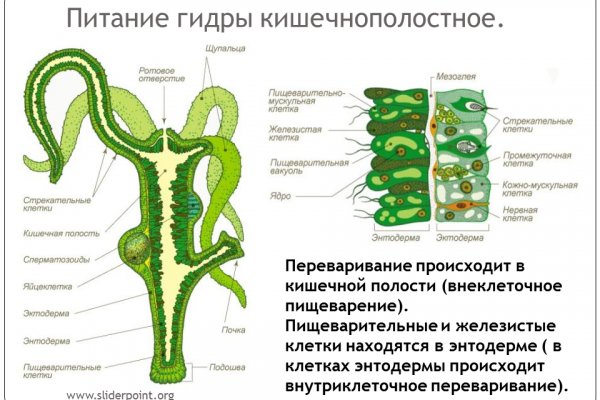Пользователь не найден кракен что делать