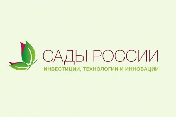 Не могу зайти в кракен