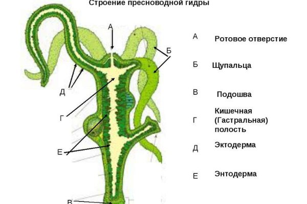 Кракен зеркало прокатис