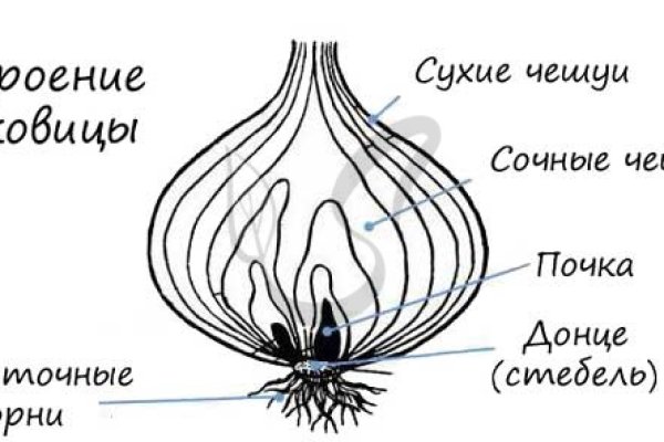 Короткая ссылка на кракен