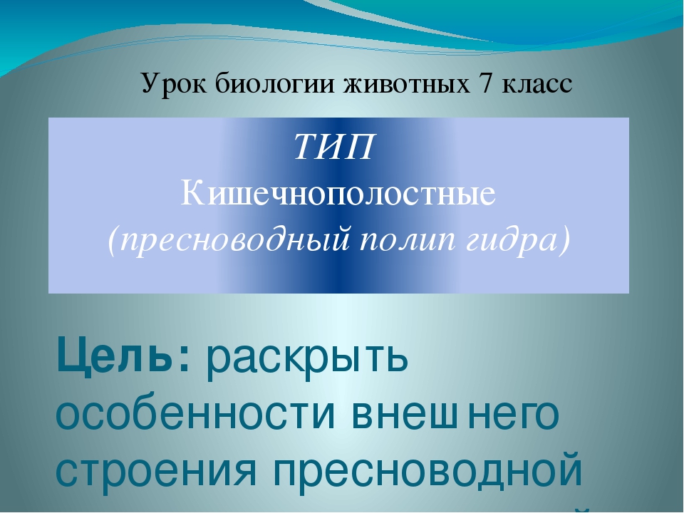 Кракен сайт store