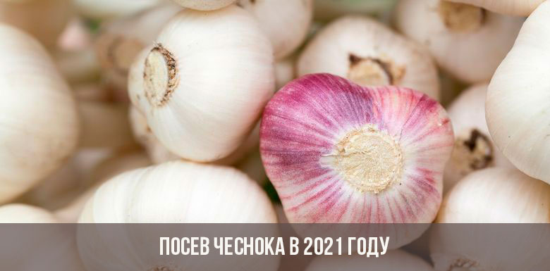 Кракен через браузер