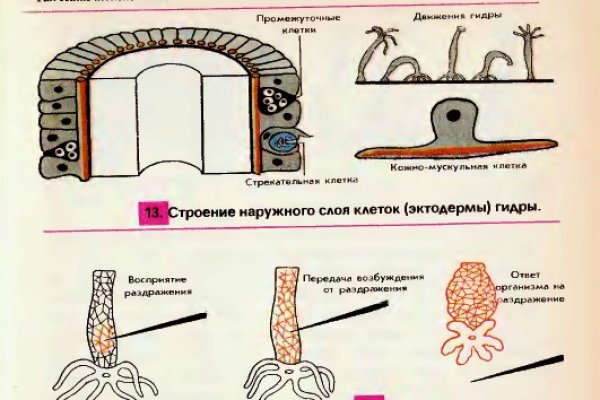 Как вывести с кракена